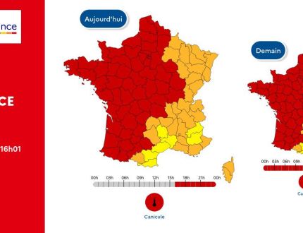 CANICULE CARTE